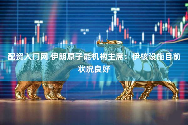 配资入门网 伊朗原子能机构主席：伊核设施目前状况良好