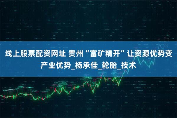 线上股票配资网址 贵州“富矿精开”让资源优势变产业优势_杨承佳_轮胎_技术